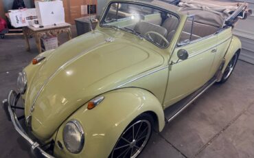 Volkswagen-beetle-convertible-1959-green-14