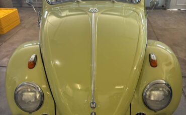 Volkswagen-beetle-convertible-1959-green-15