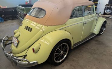 Volkswagen-beetle-convertible-1959-green-2