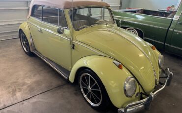 Volkswagen-beetle-convertible-1959-green