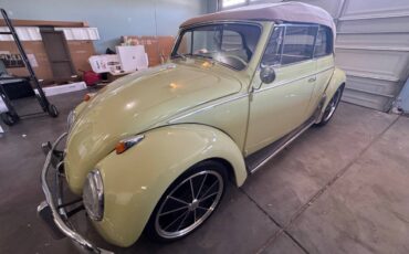 Volkswagen-beetle-convertible-1959-green-6