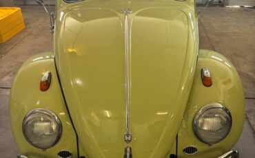 Volkswagen-beetle-convertible-1959-green-7