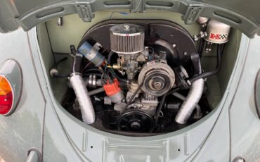 Volkswagen-bug-1957-green-6