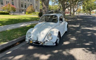 Volkswagen-bug-1966-10