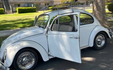 Volkswagen-bug-1966
