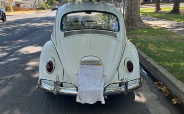Volkswagen-bug-1966-6