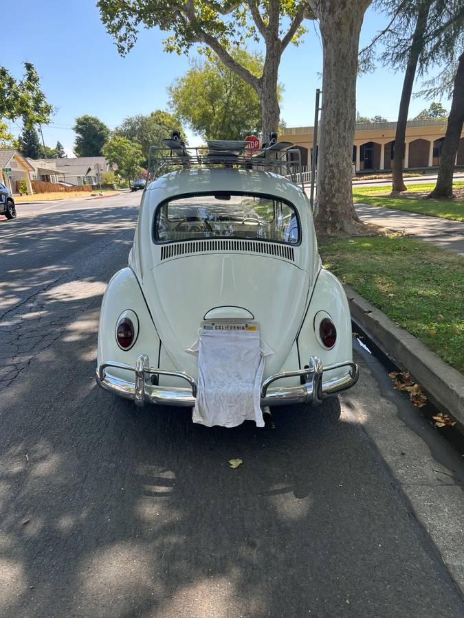 Volkswagen-bug-1966-6