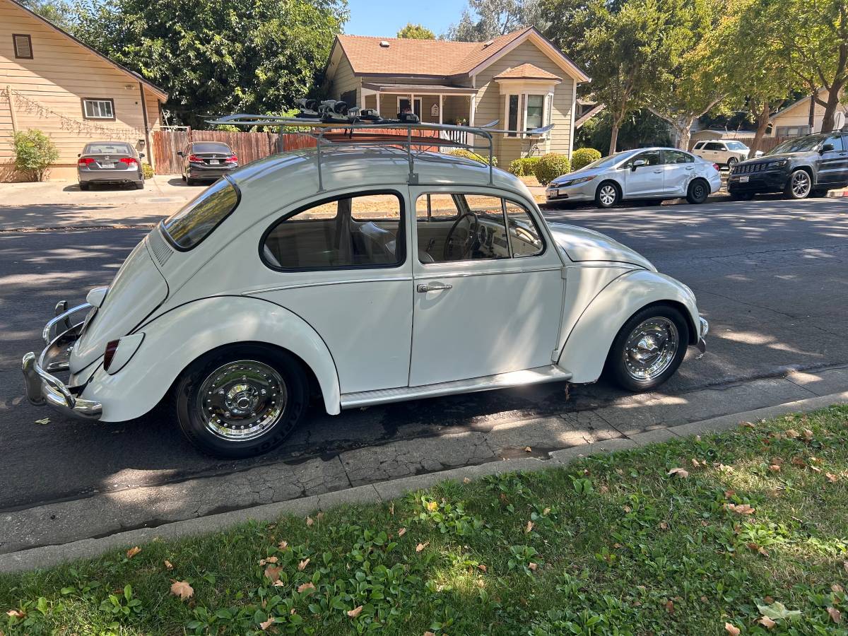 Volkswagen-bug-1966-9