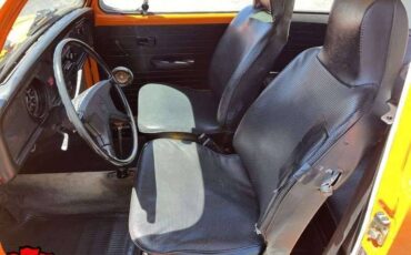 Volkswagen-bug-1974-18