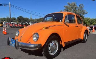 Volkswagen-bug-1974