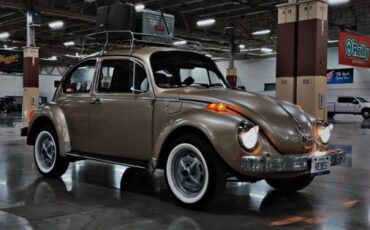 Volkswagen-super-beetle-1975-2