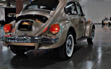 Volkswagen-super-beetle-1975-4