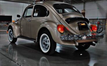 Volkswagen-super-beetle-1975-6