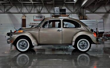Volkswagen-super-beetle-1975-7