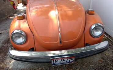 Volkswagon-beetle-1976-1