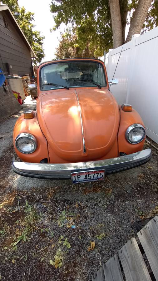 Volkswagon-beetle-1976-1