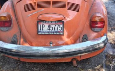 Volkswagon-beetle-1976-11