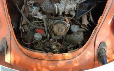 Volkswagon-beetle-1976-2