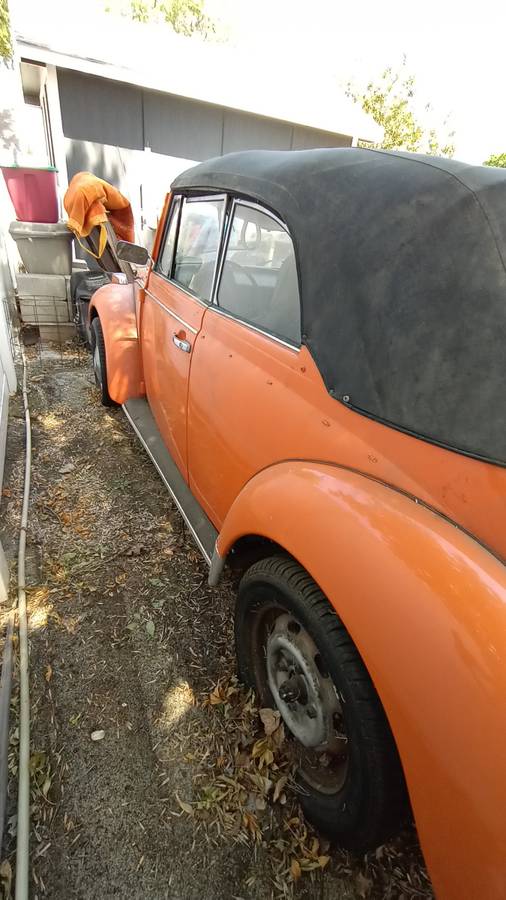 Volkswagon-beetle-1976-3