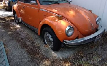 Volkswagon-beetle-1976