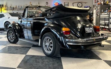 Volkwagen-super-beetle-1979-14