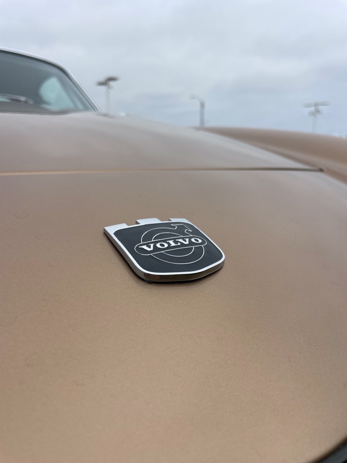 Volvo-1800-1971-Coupe-28
