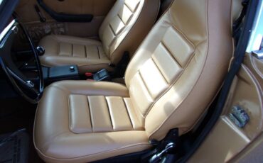 Volvo-1800-es-1972-14