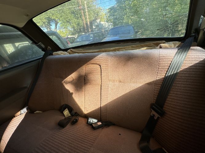 Volvo-242-1979-White-2