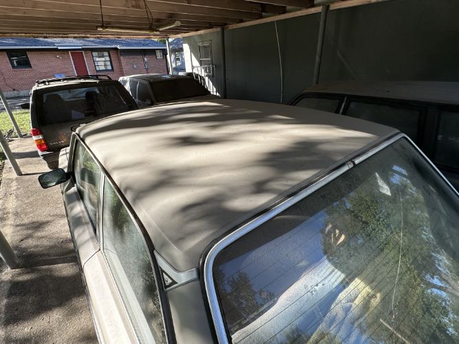 Volvo-242-1979-White-21