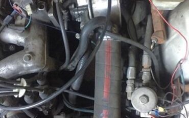 Volvo-244-1980-2