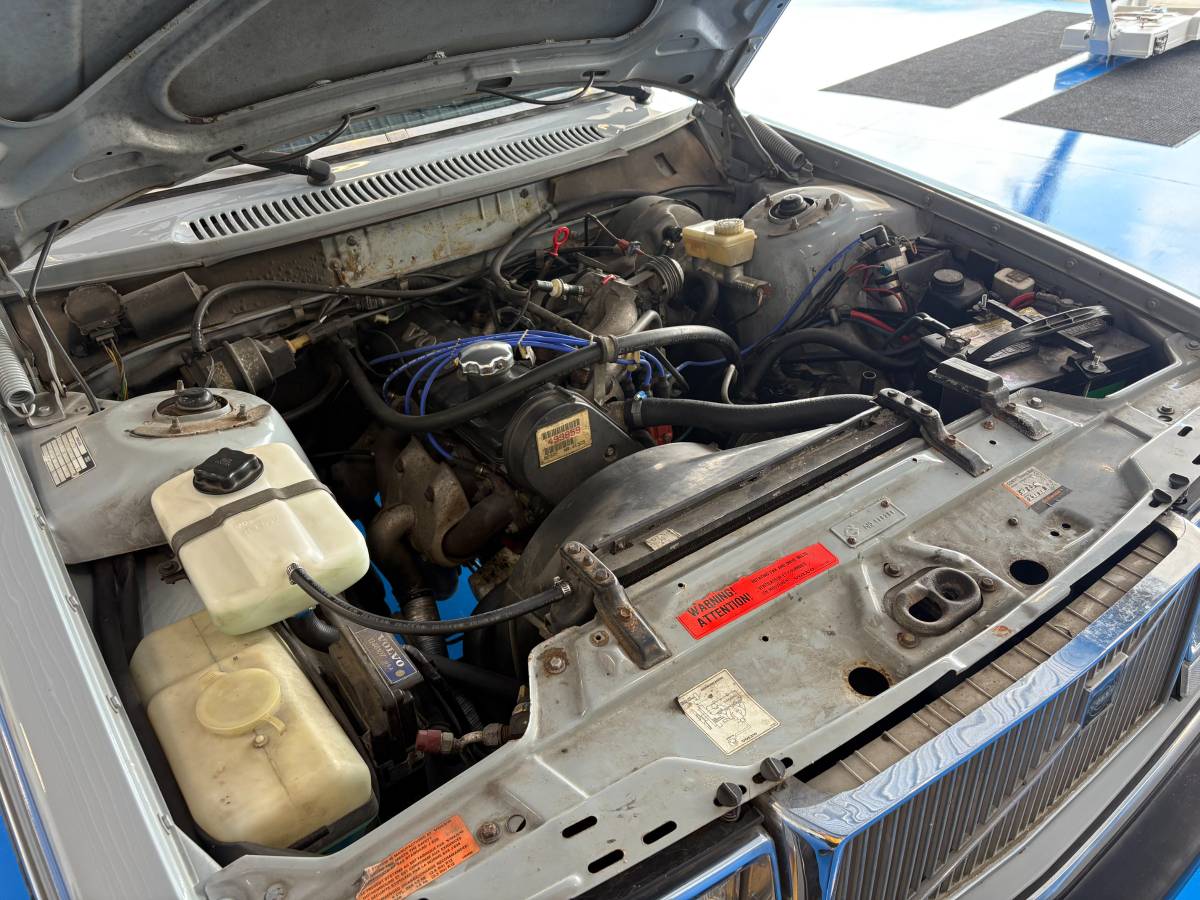 Volvo-244dl-1985-blue-17