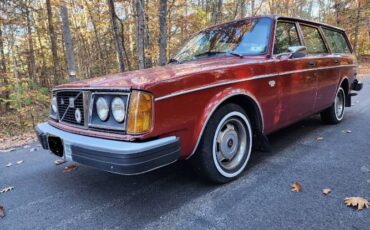 Volvo-245-1978-18
