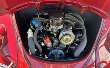 Vw-1965-red-7