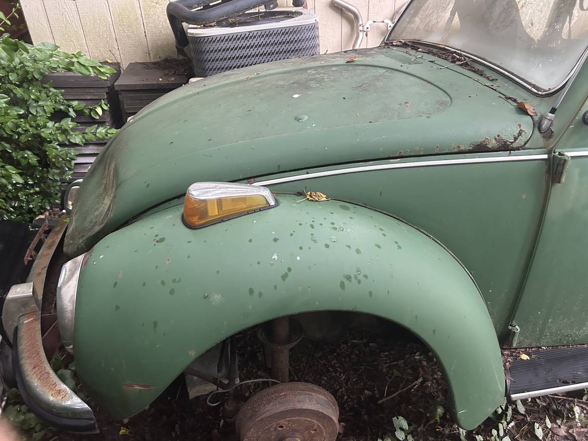 Vw-1971-6
