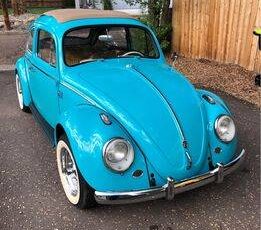 Vw-beetle-1962