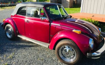 Vw-beetle-1979-purple-1