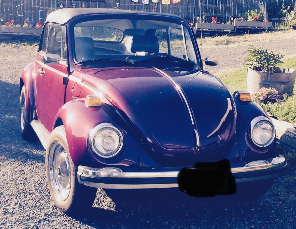 Vw-beetle-1979-purple-11