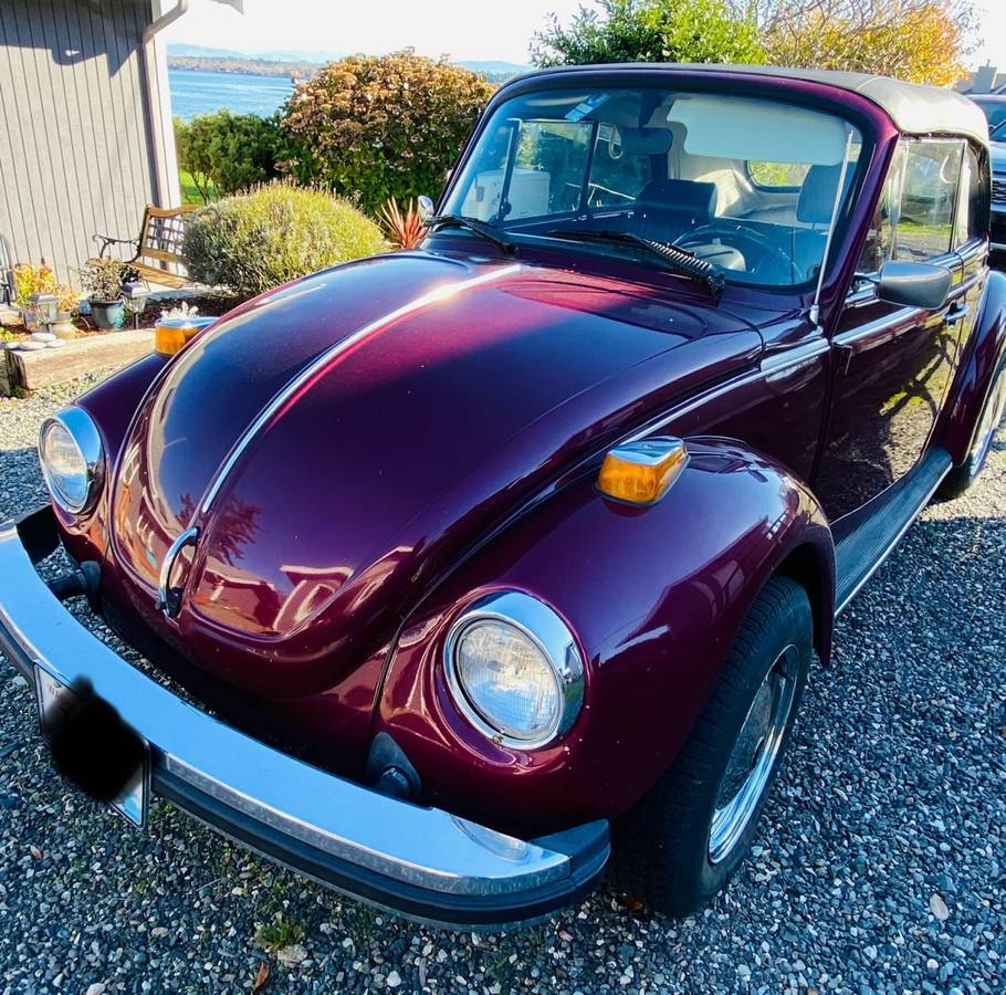 Vw-beetle-1979-purple-2