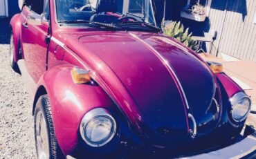 Vw-beetle-1979-purple-3