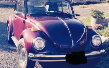 Vw-beetle-1979-purple-5