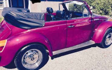 Vw-beetle-1979-purple-6