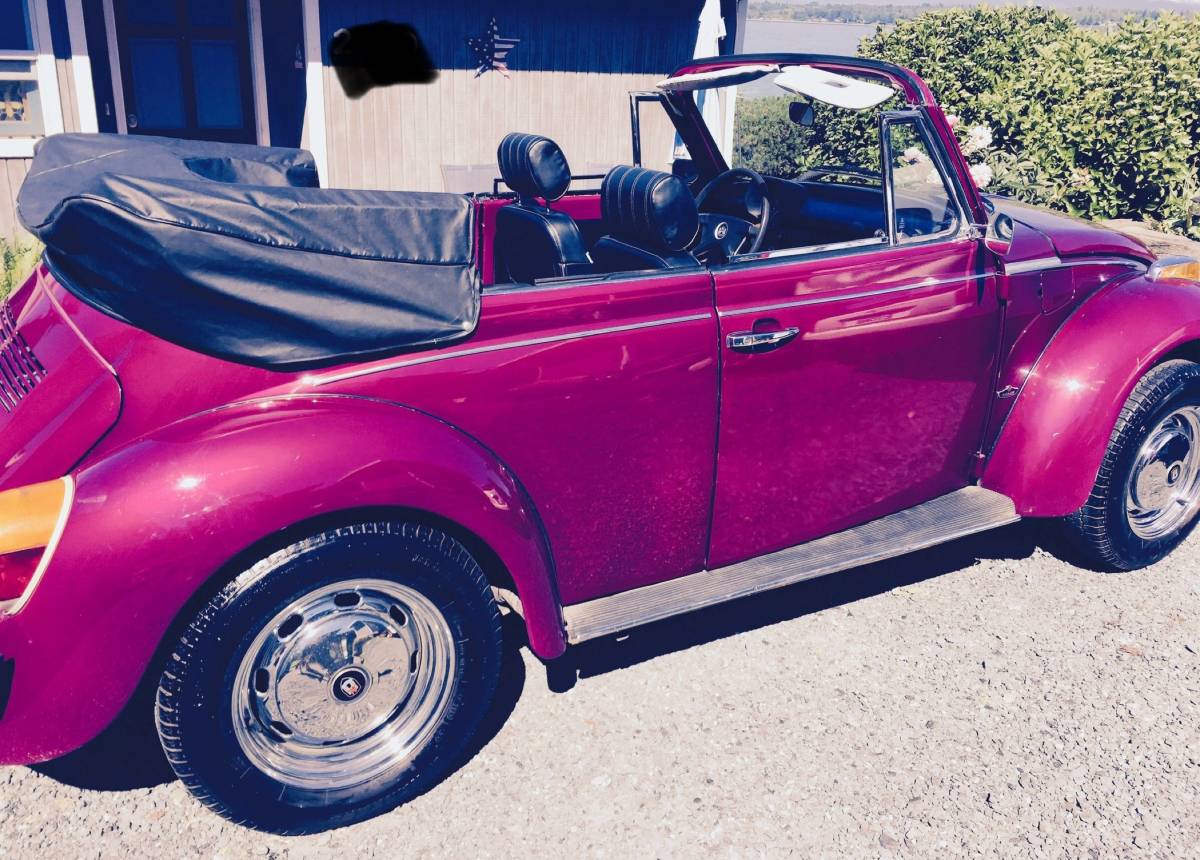 Vw-beetle-1979-purple-6