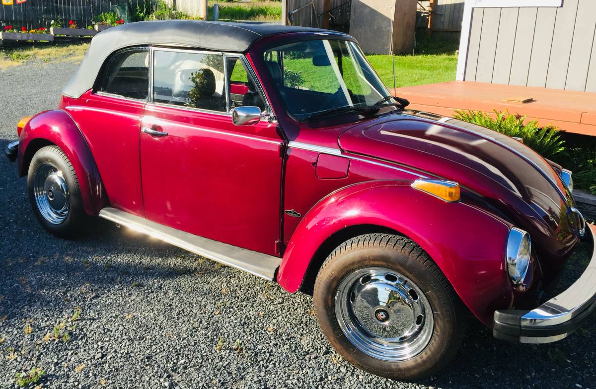 Vw-beetle-1979-purple-7
