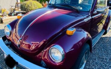 Vw-beetle-1979-purple-8