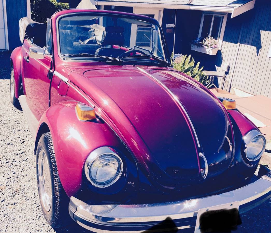 Vw-beetle-1979-purple-9