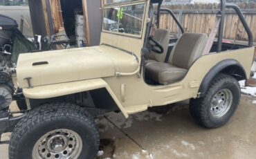 Willys-1946-Beige-Beige-15
