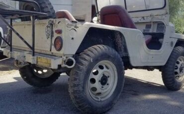 Willys-1959