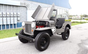 Willys-Jeep-1962-Standard-Cab-Pickup-21