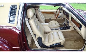ZIMMER-GOLDEN-SPIRIT-1983-COUPE-10