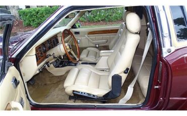 ZIMMER-GOLDEN-SPIRIT-1983-COUPE-13